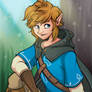 Legend of Zelda: Breath of the Wild - Link