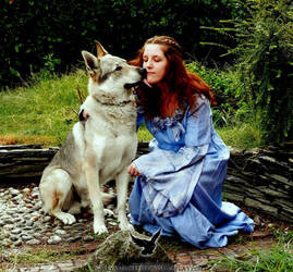 Sansa and Lady by CalamityJade