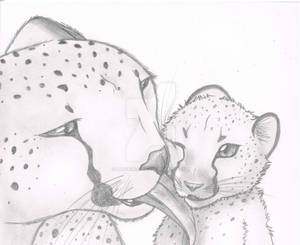 Cheeta Cub and Mother