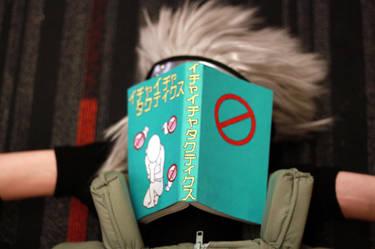 Kakashi book