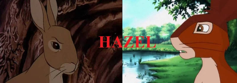 Watership VERSUS 1: Hazel