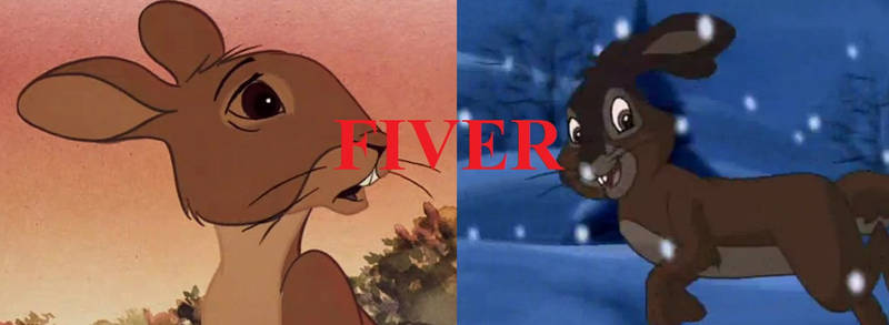 Watership VERSUS 2: Fiver