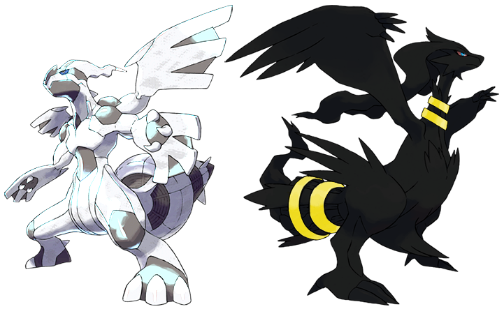 Chrys on X: A Shiny Reshiram drawing suggested by @AcadamyVgc! #Reshiram # Shiny #ShinyPokemon #Pokemon #DigitalArt  / X