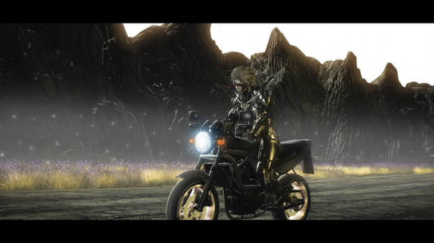 Metal Gear Rising Revengeance Raiden and Sam by miza-ky on DeviantArt