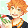 Hinata Shouyou