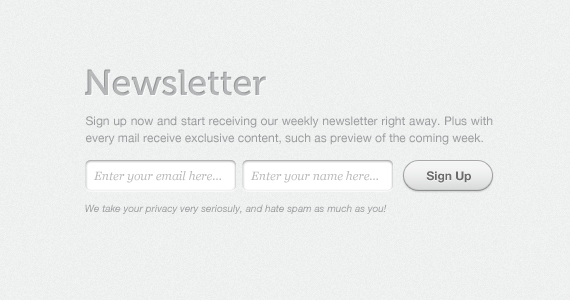 Newsletter Form