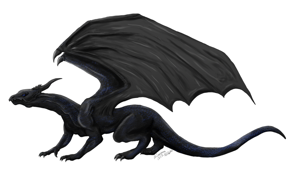 Dragon,shadow by Rasvim1313 on DeviantArt