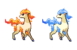 #077 Ponyta