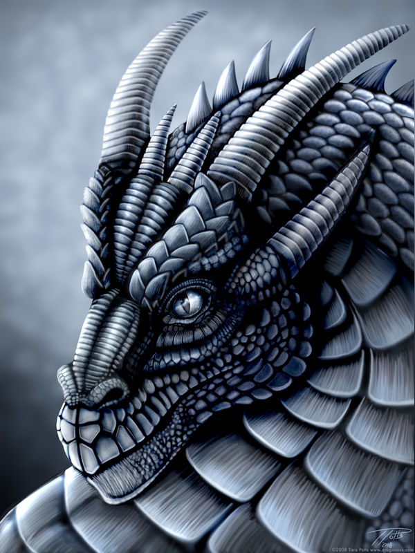 Steel Dragon Portrait