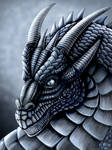 Steel Dragon Portrait by DragonosX