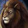 Lion portrait