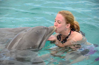 Dolphin Kiss