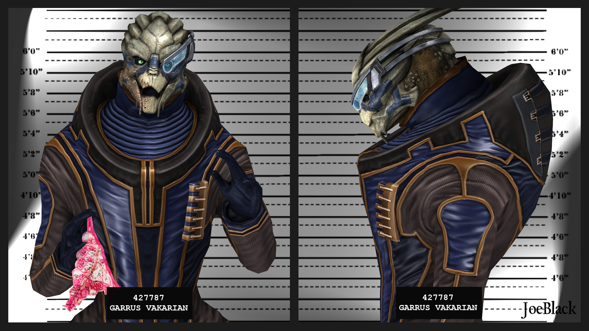 Mugshot - Garrus