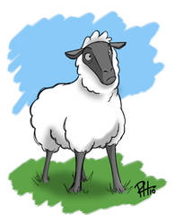 Just a sheep.