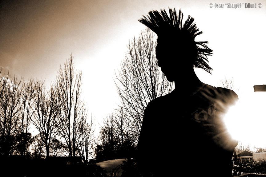 Mmd Mohawk Mohawk by sharp69 on DeviantArt