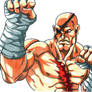 king sagat