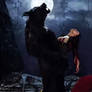 Unintentionally - Van Helsing