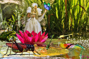 Gathering in the Pond by Branka-Artz Gathering in the Pond by Branka-Artz