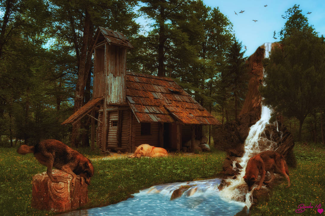 Wolf Creek by Branka-Artz Wolf Creek by Branka-Artz
