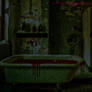The Haunted Bathroom