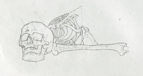 Old Life Drawing - Skeleton