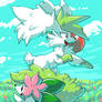 pokeddexy 10 grass - shaymin