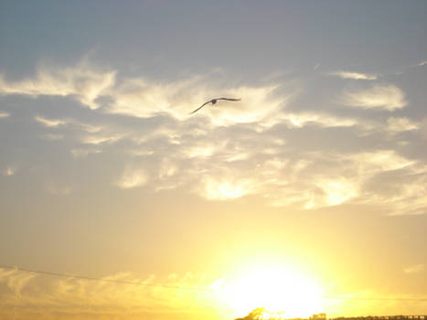 sunset in the beach