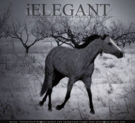 iELEGANT