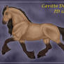 Cavitto Discovery 129