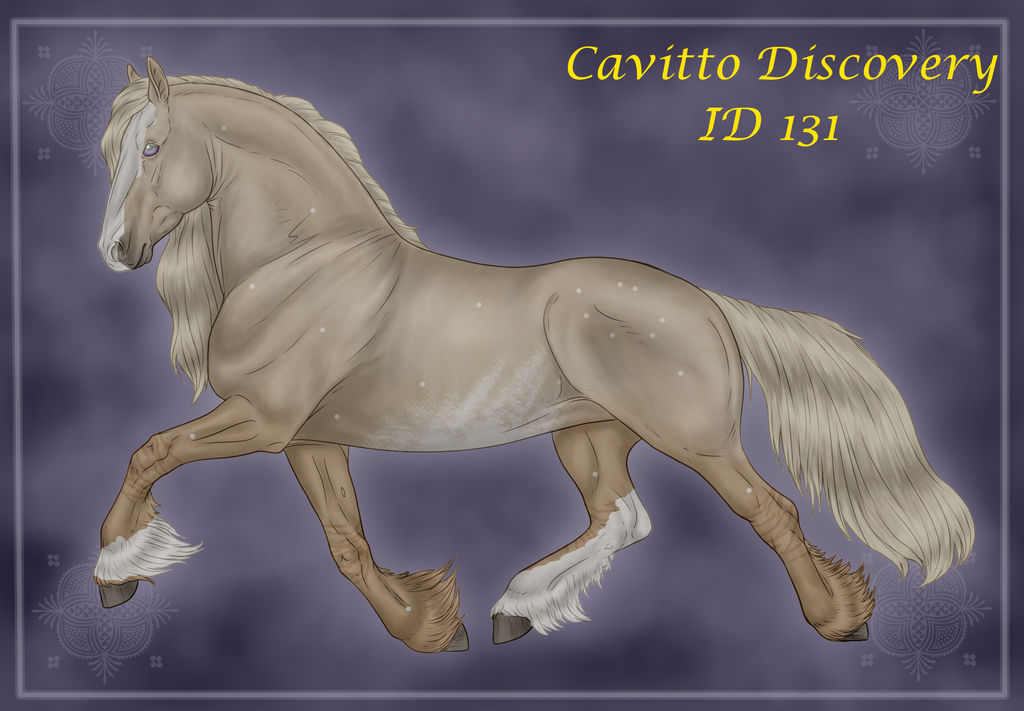 Cavitto Discovery 131