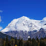 Mt. Robson