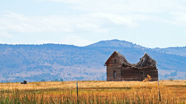 Old Homestead