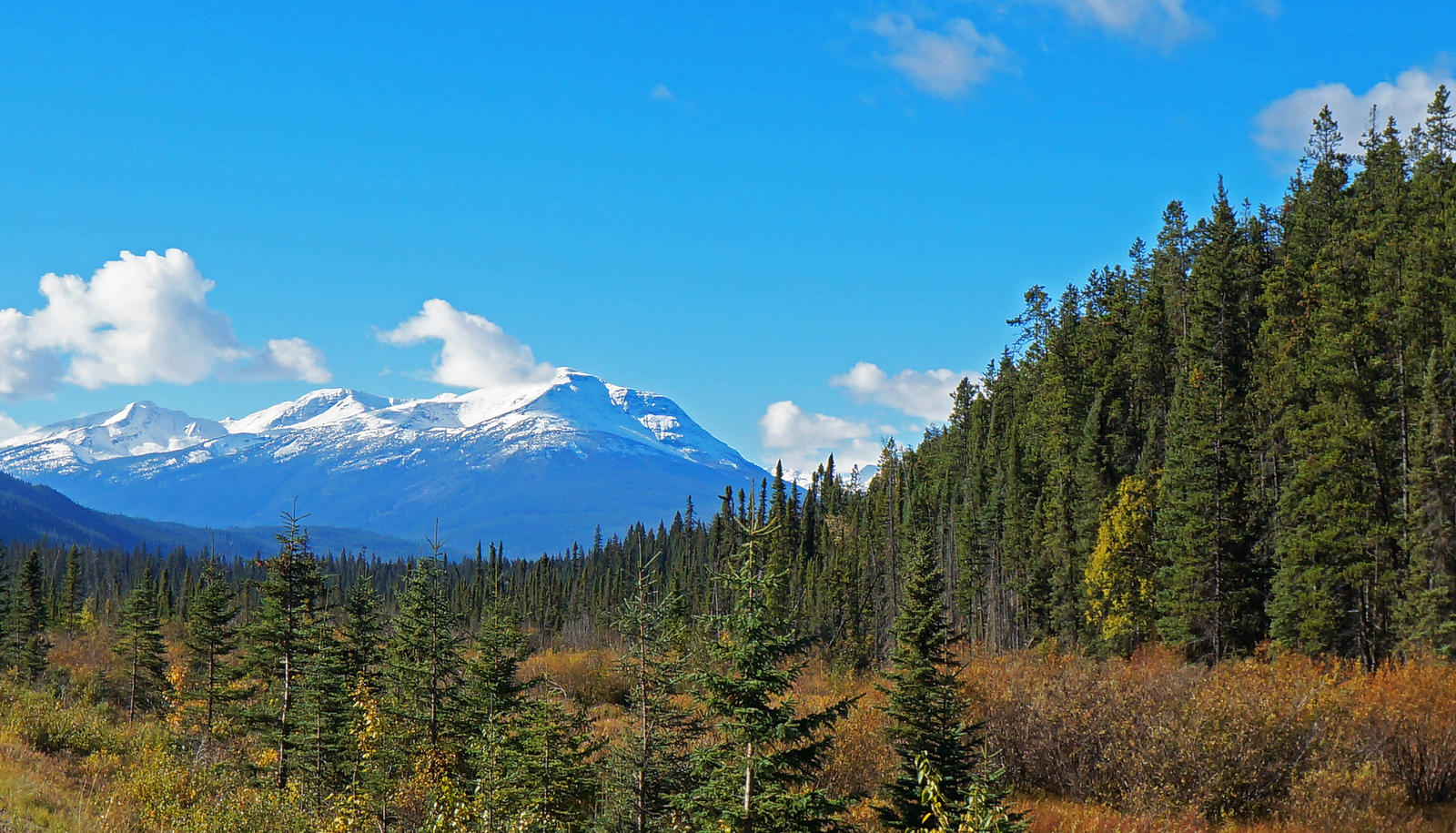 Crisp Fall Day