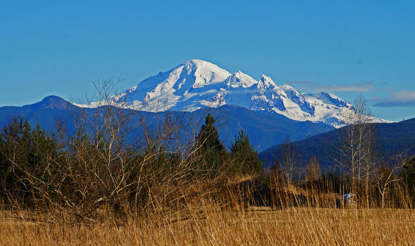 Mount Baker V