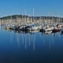 Bellingham Bay Boats