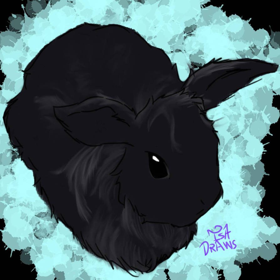 Black Rabbit by Kitcat7807 on DeviantArt