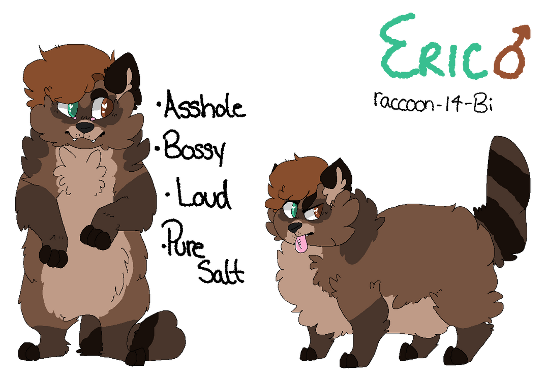 Sam The Racoon South Park themed raccoon adopt adoptable OPEN by Sam-Moose on DeviantArt