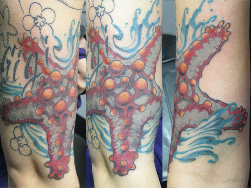 starfish tattoo
