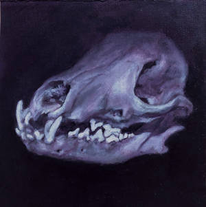 A skull