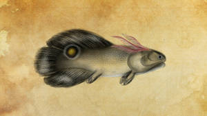 Speculative Lungfish Species 1 : Larvae 