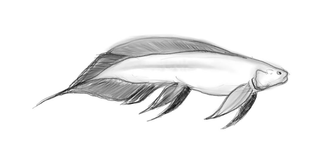 Some Speculative Dipnoi (Lungfish) 8 by mamatlisham on DeviantArt