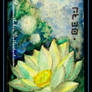 Bookmarks White lotus