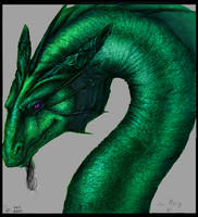 Dragon portrait