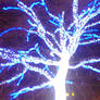 The Blue Tree