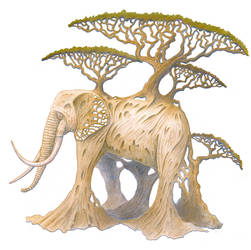 Natural Growth (Elephant Transformation)