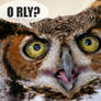 Orly