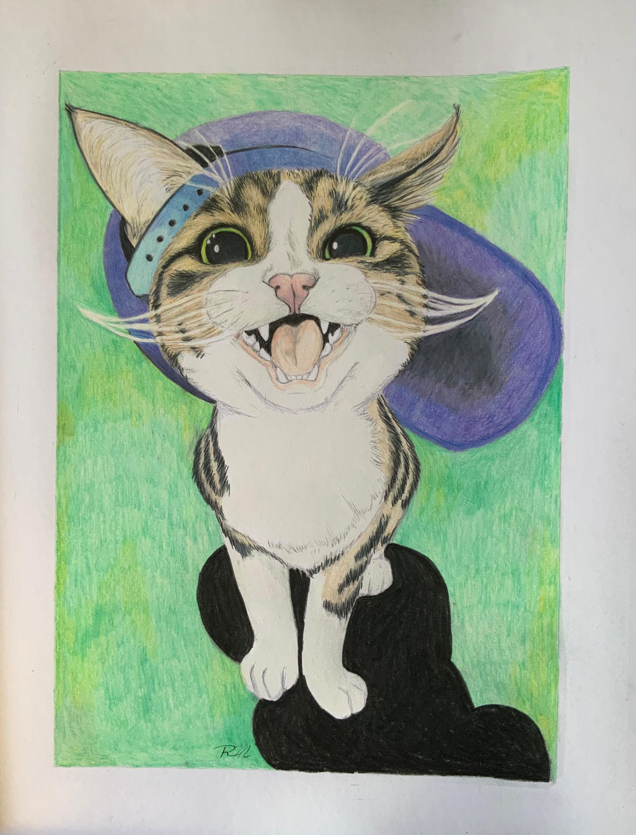 Colored Pencil Cat By Artnanigans On Deviantart Colored Pencil Cat By Artnanigans On Deviantart