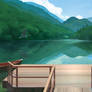 Environment Practice