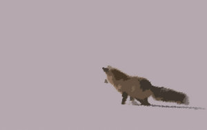 Snow Fox Pounce (Filtered)