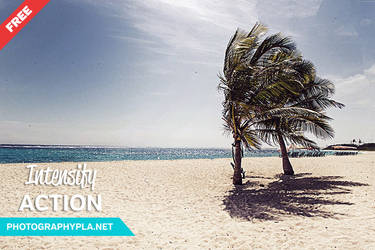 Free Intensify Photoshop Action